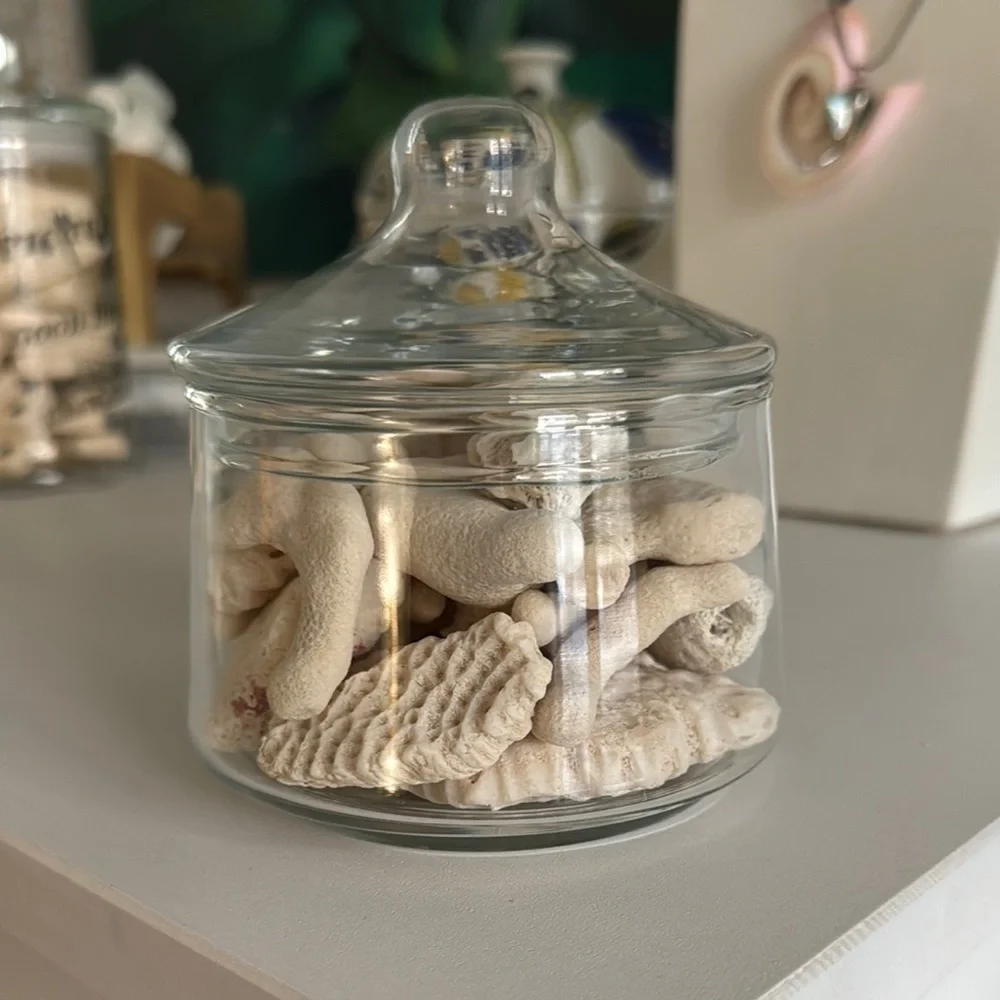 Coral Pieces in Small Apothecary Jar